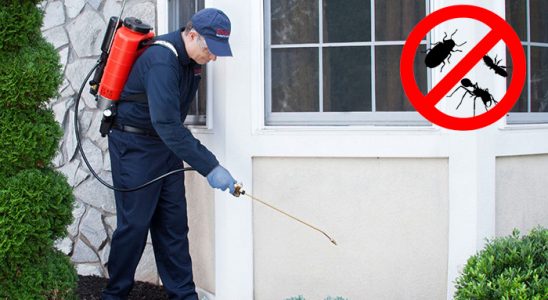 Yahşihan Böcek İlaçlama böcek ilaçlama ve haşere kontrolü — ilaclama-tr.com